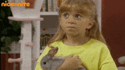full house GIF by Nick At Nite