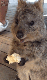 GIF by Summer
