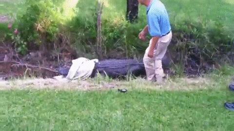 check grandpa GIF