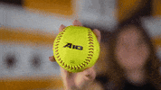 Loyola Softball GIF by LoyolaRamblers