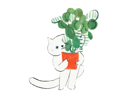 Animated Sticker