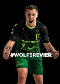 rimparerhandballer handball wolfe rimpar GIF