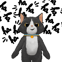 Black Cat Lol Sticker by TeamKrikey