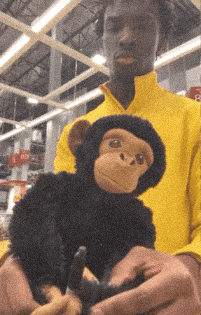 Monkey GIF