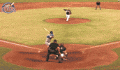 EvansvilleOtters baseball swag save catch GIF