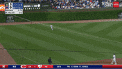 Chicago Cubs Baseball GIF