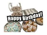 Happy Birthday Sticker by Global Tara Entertainment