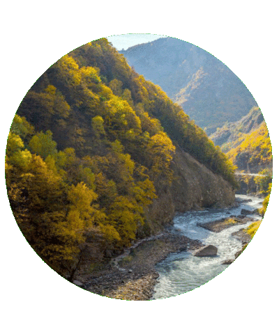 Красота Sticker by kchr