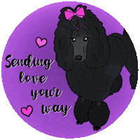 Standardpoodle Sticker