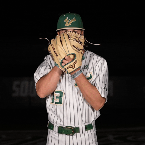 South Florida Baseball GIF by USF Athletics