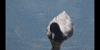 React Swimming GIF by DIIMSA Stock