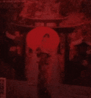GIF by ellaknor
