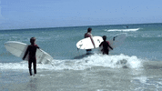 florida GIF