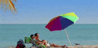 florida GIF