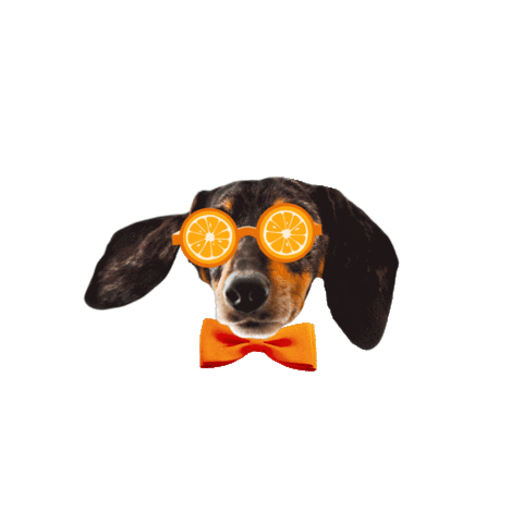 Dog Sticker by Capri-Sun