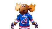 disbelief no Sticker by Newcastle Northstars