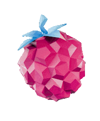 3D Berry Sticker