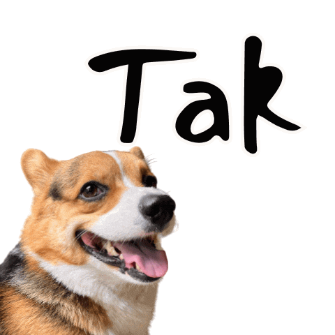 Corgi Polish Sticker