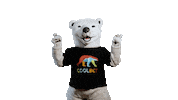 Bear Bet Sticker by Coolbet Chile