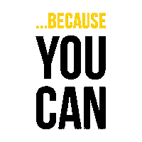 Because You Can Light It Up Sticker by IGNITE cycle