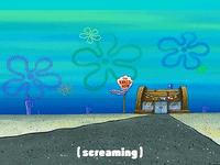 season 3 missing identity GIF by SpongeBob SquarePants