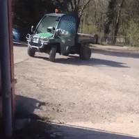 Tractor Driving Dog Doesn't Take Any Breaks
