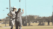 csu rams softball GIF by Colorado State Rams