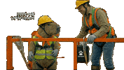 Teamwork Praise Sticker