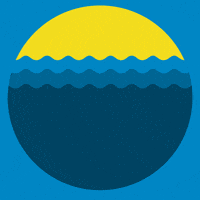 Ocean Sunset GIF by PETA