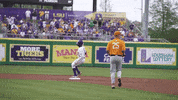 Baton Rouge Celebration GIF by LSU Tigers