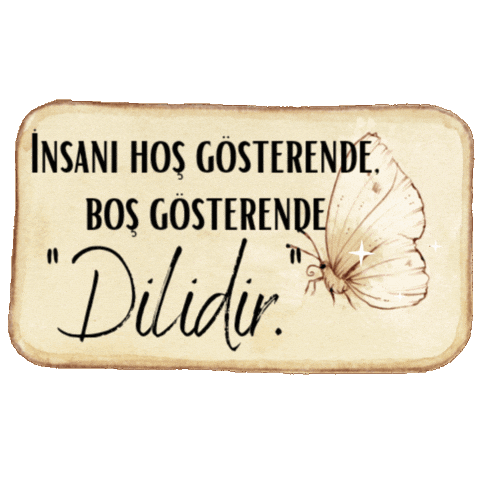 Mnks Kelimeler 4 Sticker