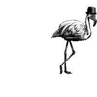 siredmondgin cocktail gin flamingo moonwalk Sticker