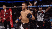 david teymur ufc GIF
