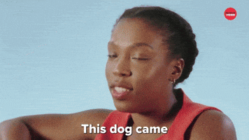 This Dog Came At A Very Good Time