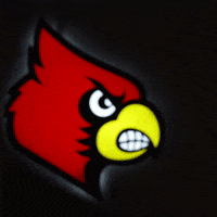University Of Louisville Go Cards GIF by Louisville Cardinals