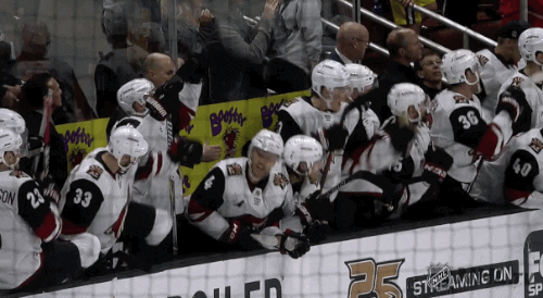Happy Ice Hockey GIF by NHL