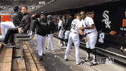 white sox baseball GIF by MLB