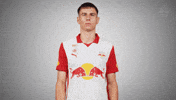 Television Box GIF by FC Red Bull Salzburg
