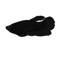 Betta Fish Rip Sticker