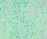 video art painting GIF by jake-andrew-art