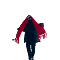 AcromaxMedia music winter scarf shqip Sticker