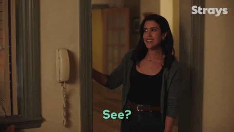 Season 2 Episode 6 GIF by Strays