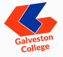GalvestonCollege giphyupload gc whitecaps galveston GIF