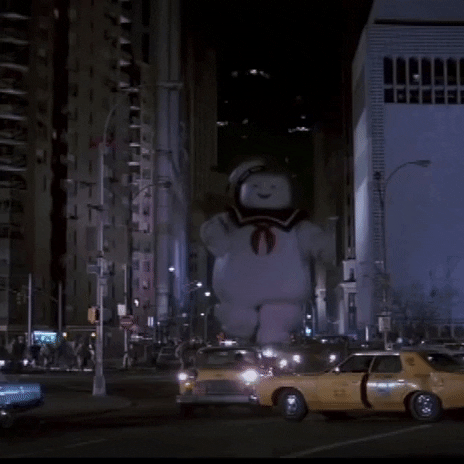 ghostbustersnet giphygifgrabber comedy 80s scifi GIF
