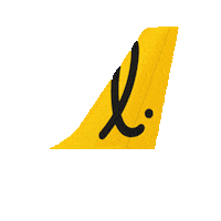 Uplift Liftsa Sticker by LIFT Airline