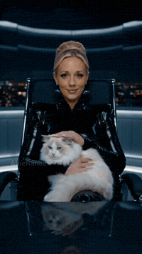 International Cat Day GIF