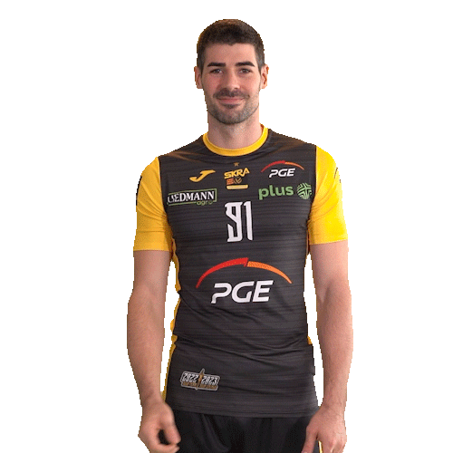 Belchatow Sticker by PGE Skra Bełchatów