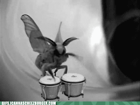 moth GIF by Cheezburger