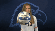 Cnvb Cnvb2019 GIF by Carson-Newman Athletics