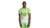 In Love Football Sticker by VfL Wolfsburg